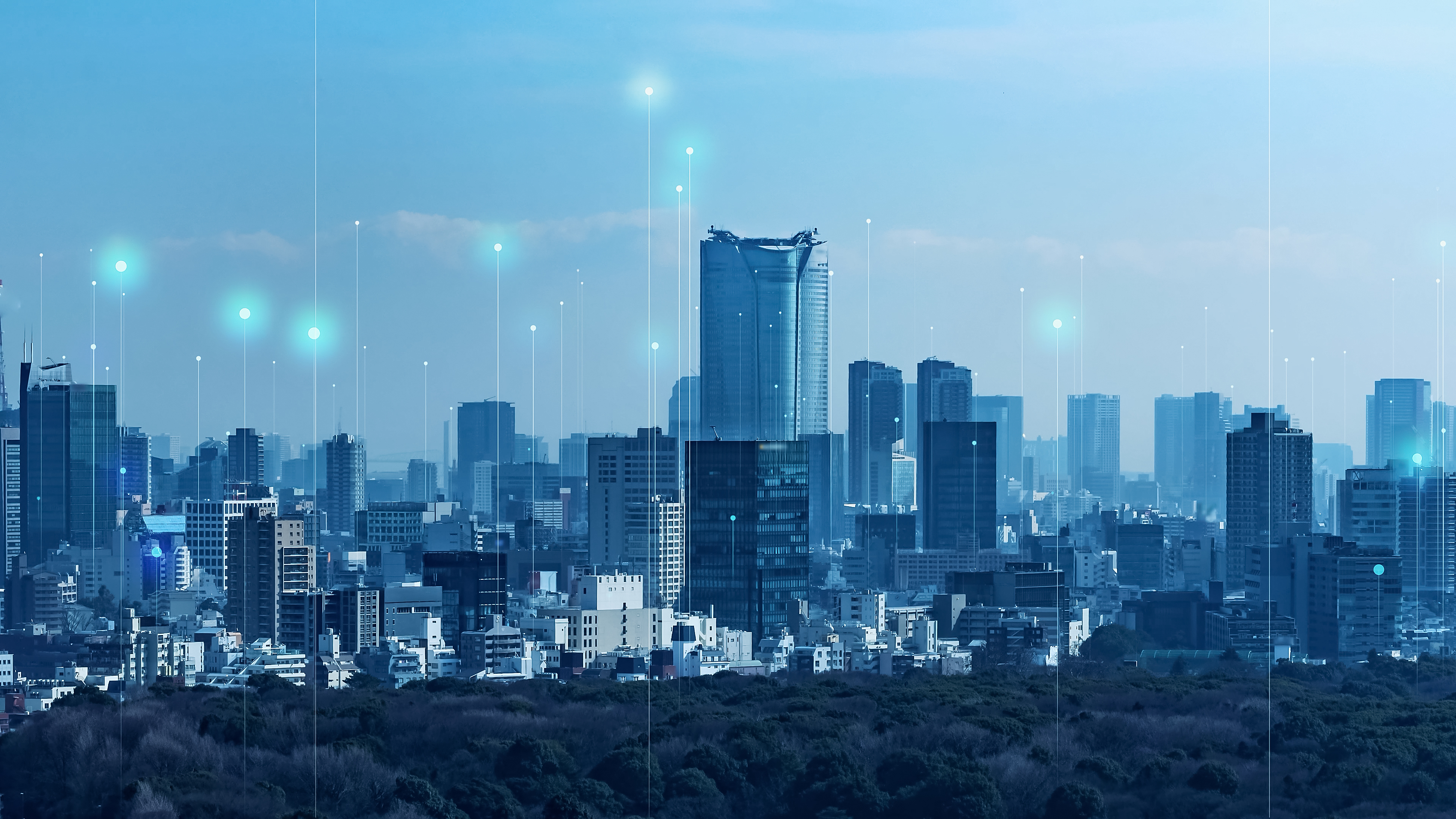 International Business Environment and Sutainability